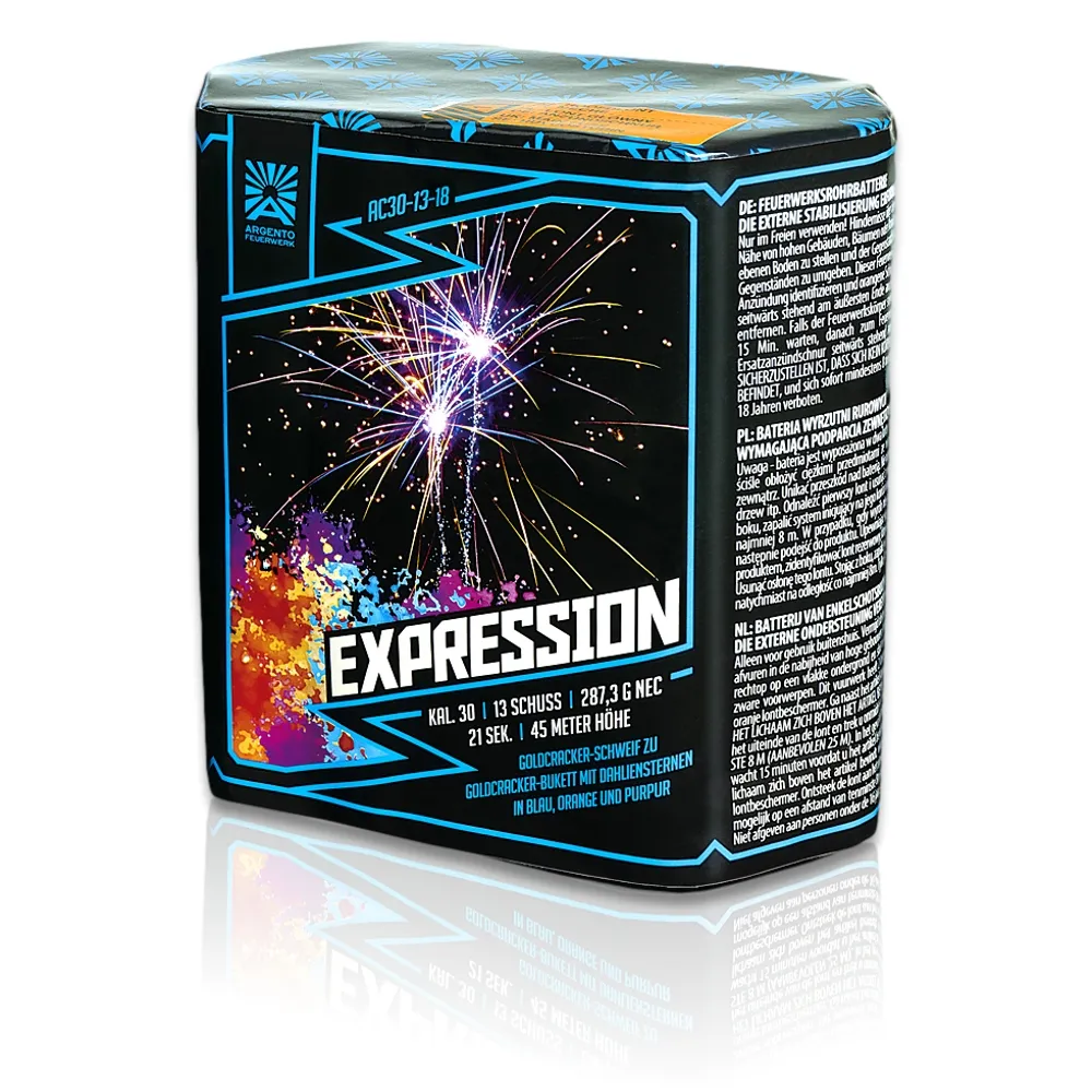 Expression, 13Sch.