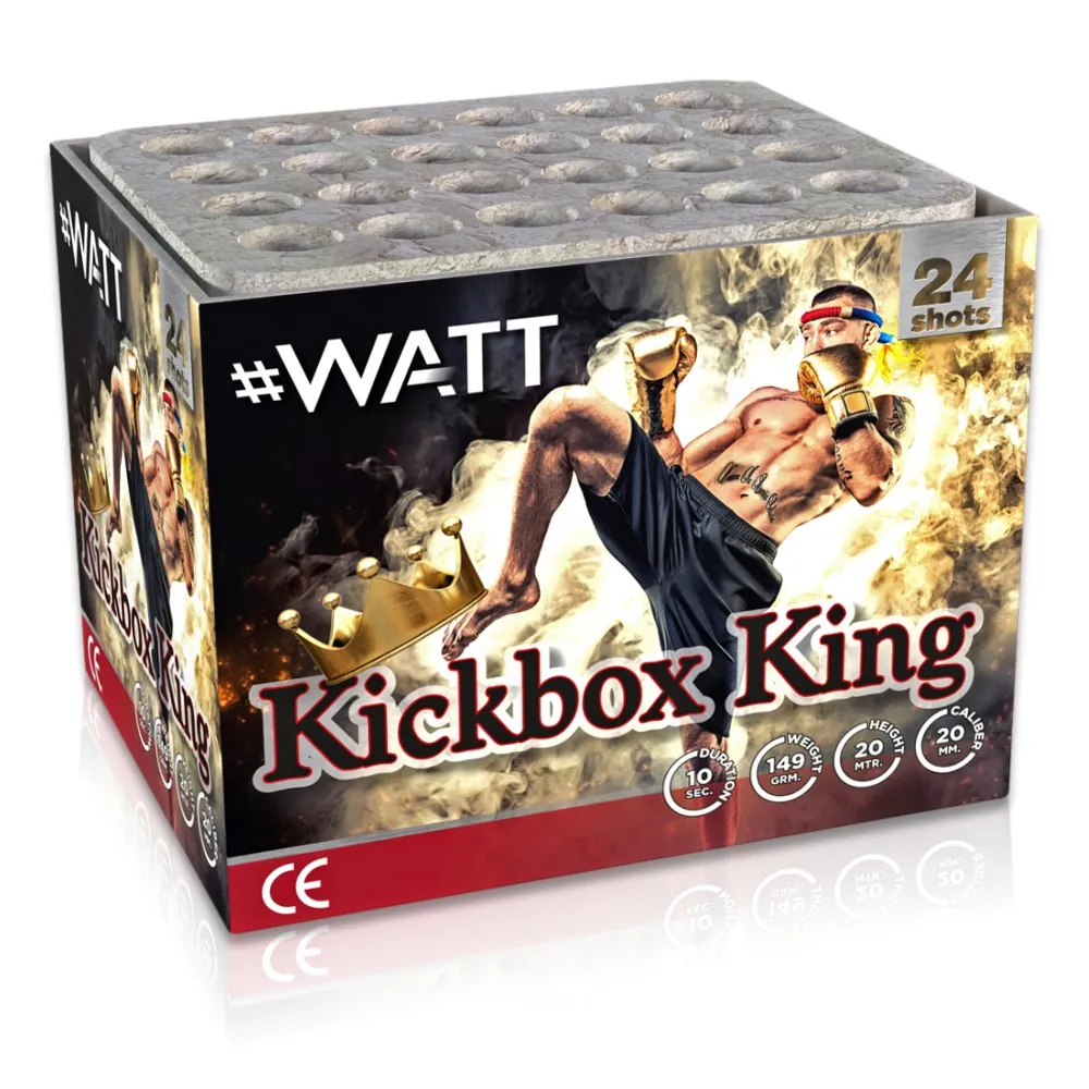 Kickbox King 24-Schuss