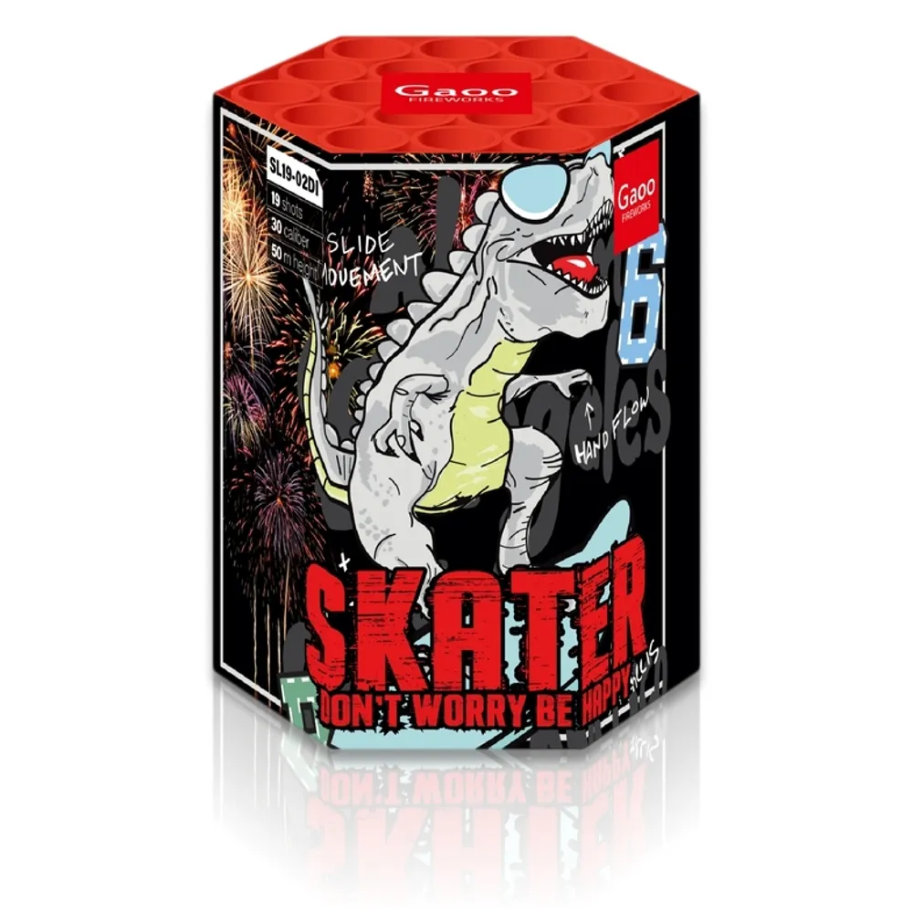 Skater 19-Schuss