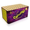 Carnaval 60Sch