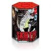 Skater 19-Schuss