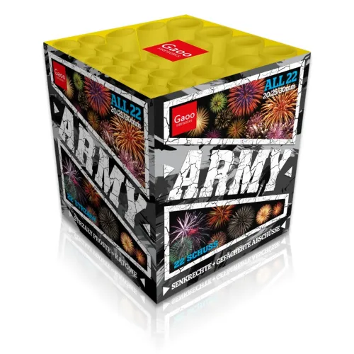 Army 22-Schuss