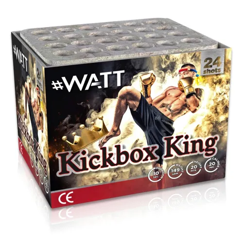 Kickbox King 24-Schuss