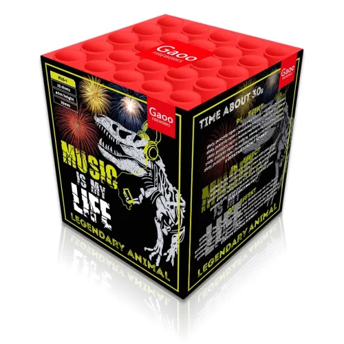 Music is my Life 25-Schuss