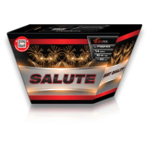 Salute 54-Schuss