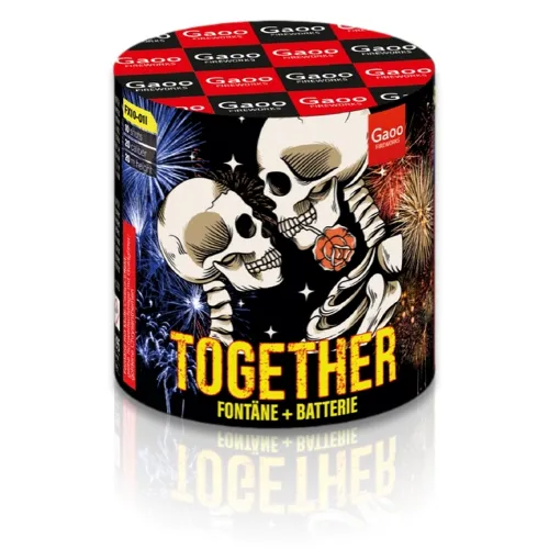 Together 10-Schuss